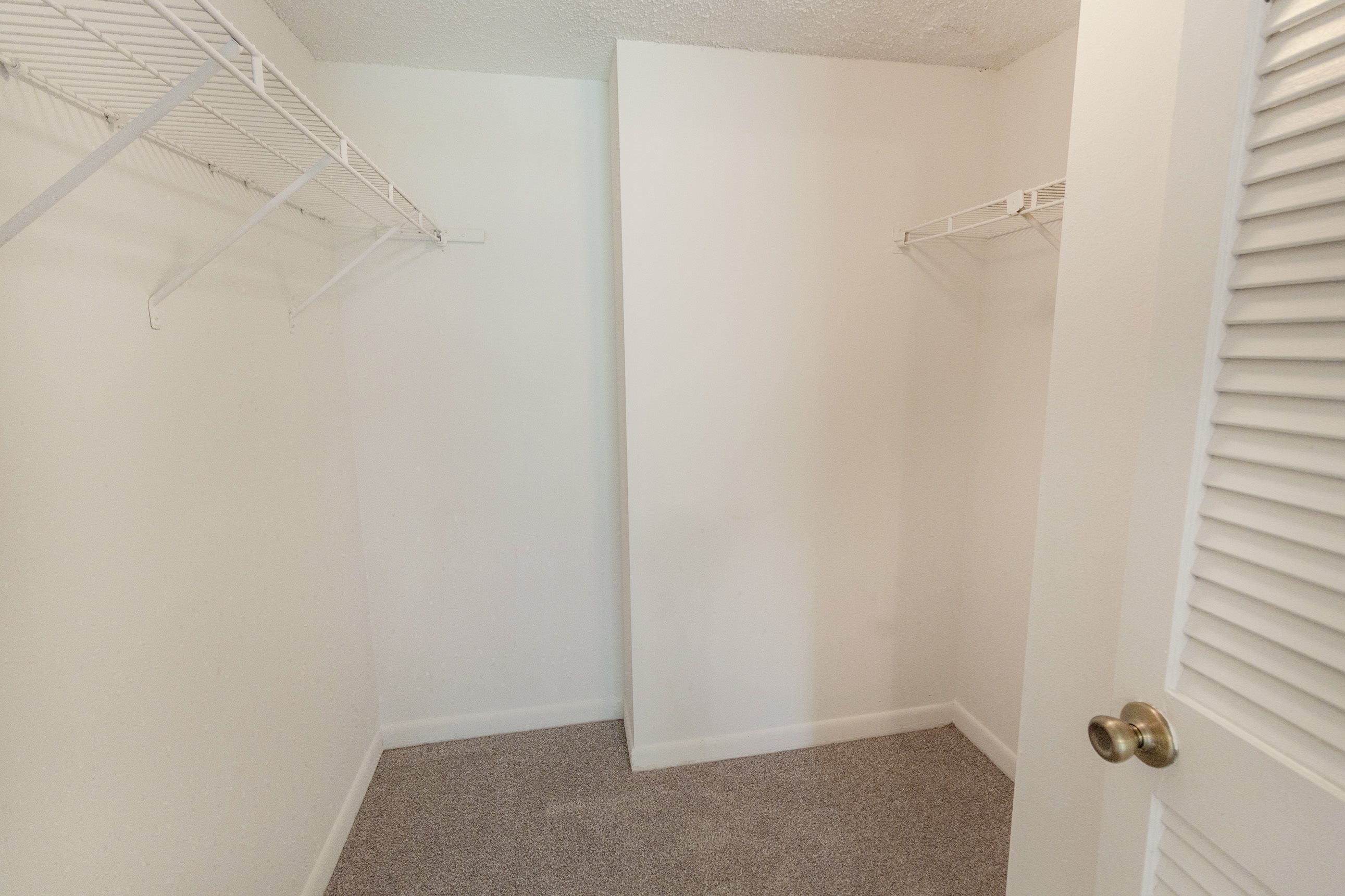 Gallery Photo 37